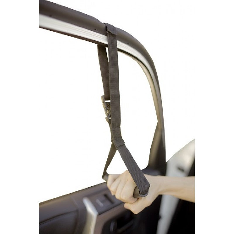 Auto Assist - Handle